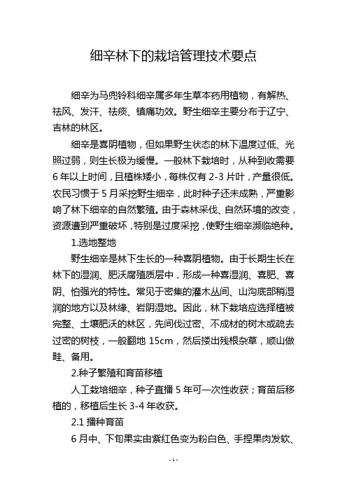 细辛林下的栽培管理技术要点