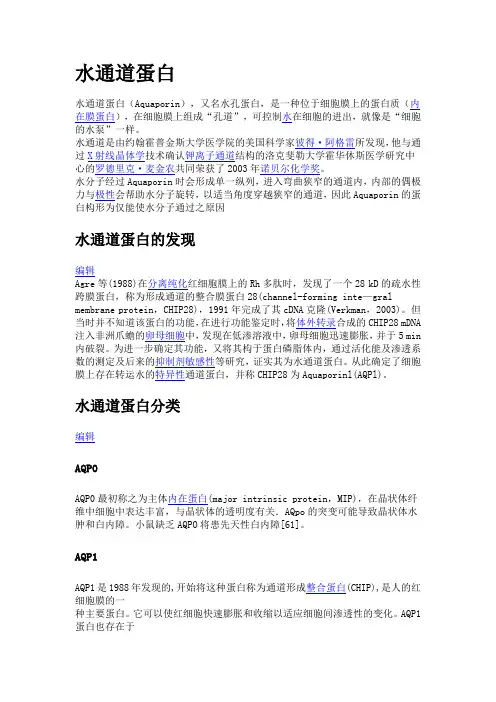 水通道蛋白
