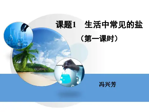 人教版九年级下册 第十一单元  课题1 生活中常见的盐教学课件