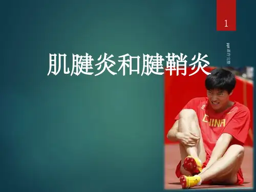 肌腱炎和腱鞘炎ppt课件