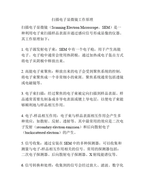 扫描电子显微镜工作原理