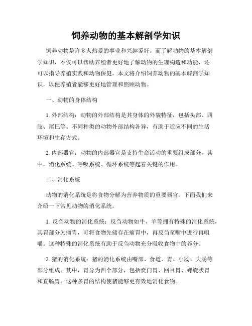 饲养动物的基本解剖学知识