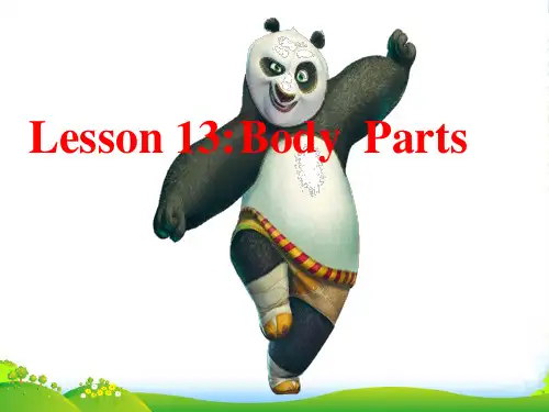 冀教版七年级英语上册 Unit 3 Lesson 13《Body Parts》 课件