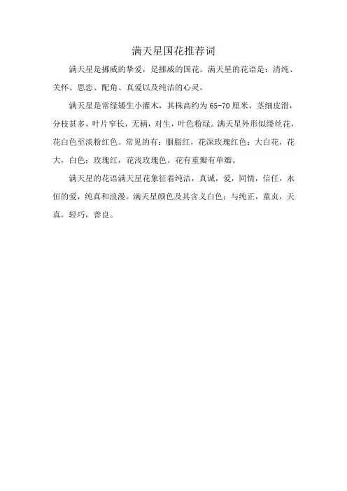 满天星国花推荐词