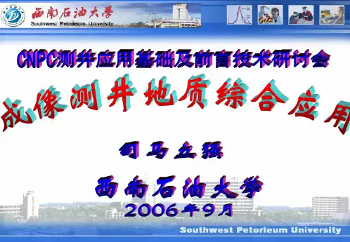 司马立强-成像测井地质综合应用