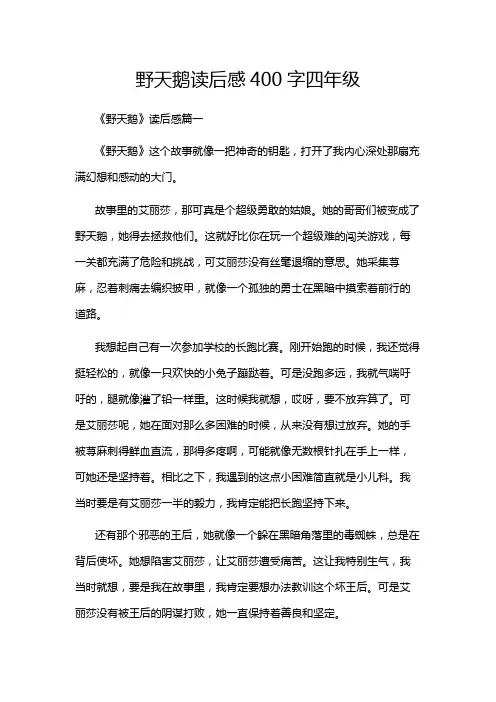 野天鹅读后感400字四年级