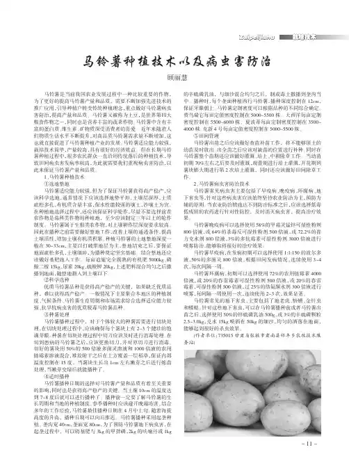 马铃薯种植技术以及病虫害防治