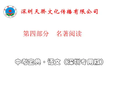 最新版中考语文专题复习(深圳专用)完美版名著阅读
