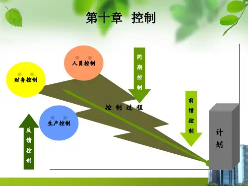 管理学原理 第十章  控制