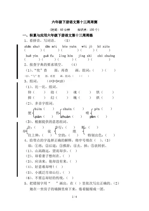 六年级下册语文第十三周周练