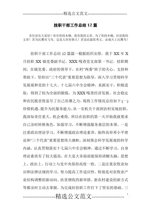 挂职干部工作总结12篇