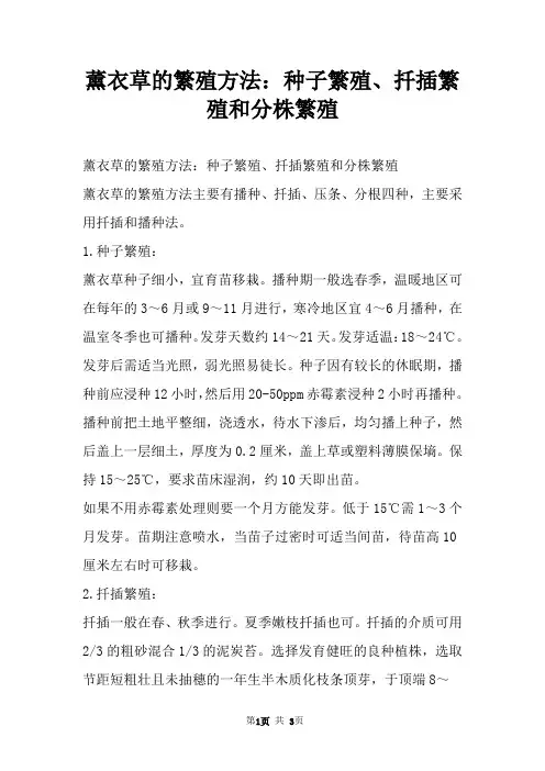 薰衣草的繁殖方法：种子繁殖、扦插繁殖和分株繁殖