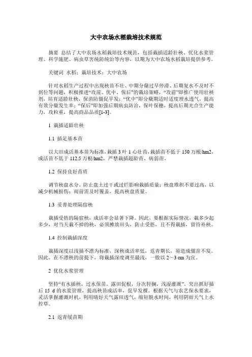 大中农场水稻栽培技术规范