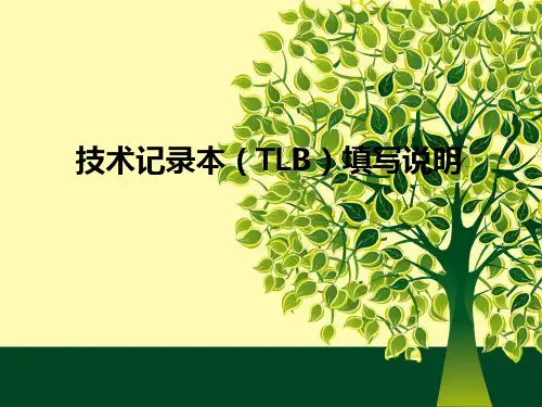 飞行记录本填写规范 (经典)