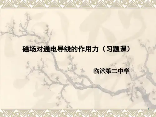 讲课安培力习题课PPT课件