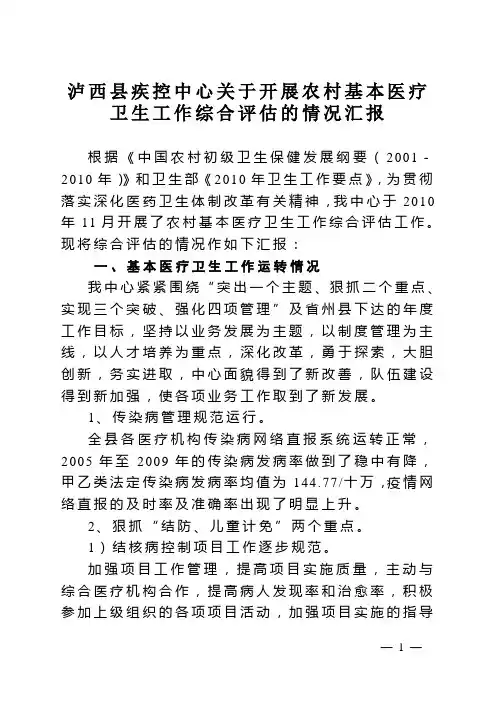 2010年基本医疗卫生项目综合评估报告