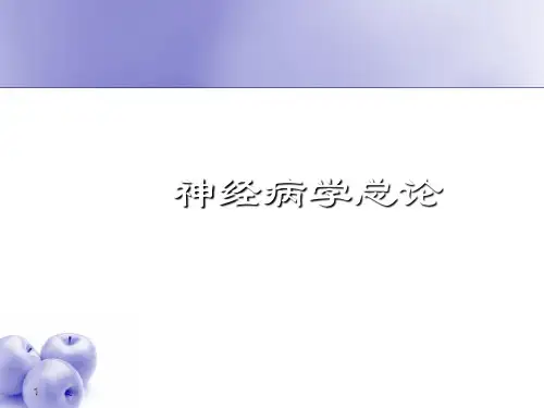 神经病学PPT课件