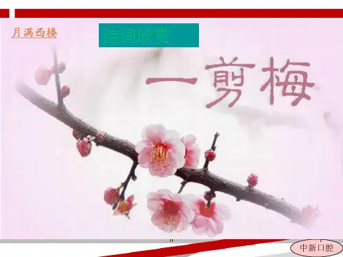 李清照《一剪梅》ppt课件