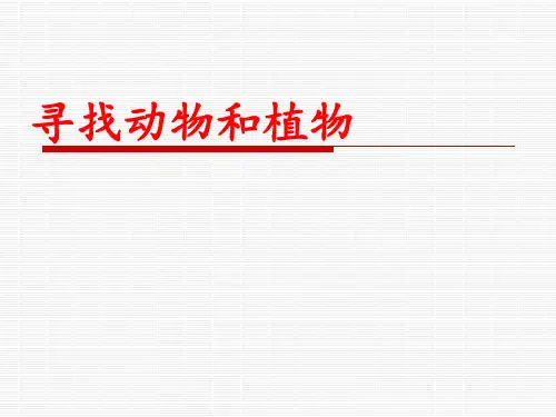 三年级上册科学课件-3《寻找动物和植物》 ｜冀教版                (共30张PPT)