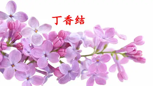 部编版六年级上册第一单元第二课《丁香结》精品课件