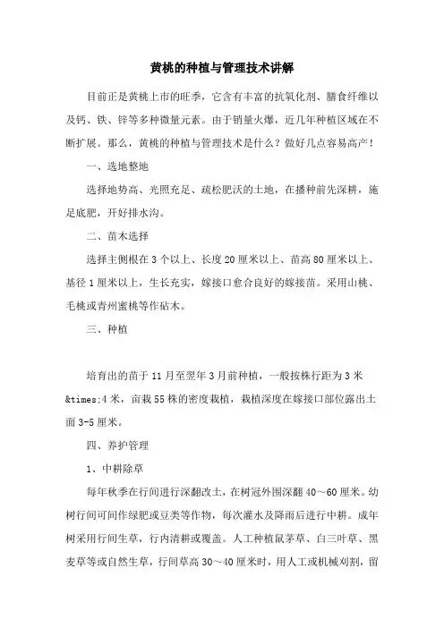 黄桃的种植与管理技术讲解