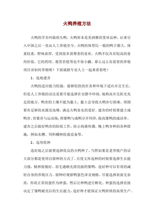 火鸭养殖方法