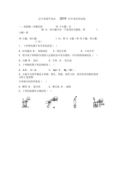 2019年辽宁省葫芦岛市中考化学试题(Word版,含答案)