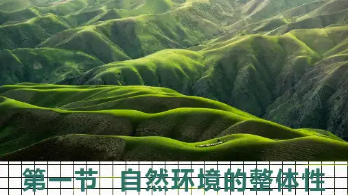 【精品课件】《自然环境的整体性》