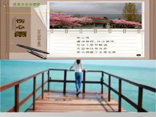 4.2《情绪的管理》ppt课件