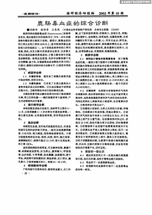 鹿肠毒血症的综合诊断