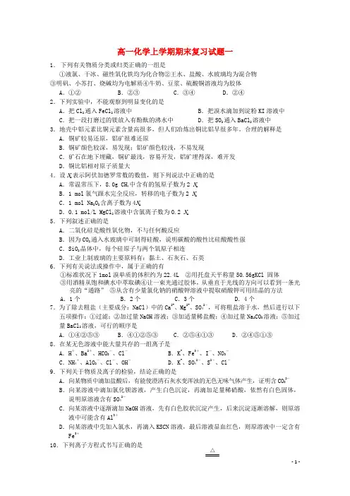 湖北省武昌实验中学高一化学上学期期末复习试题一