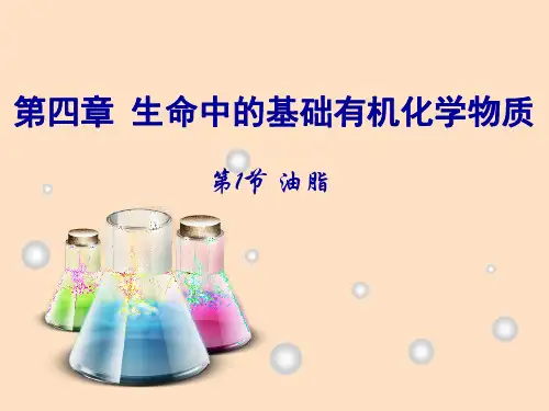 高中化学油脂课件