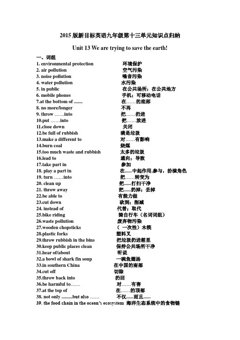 2015版新目标英语九年级Unit13知识点 归纳