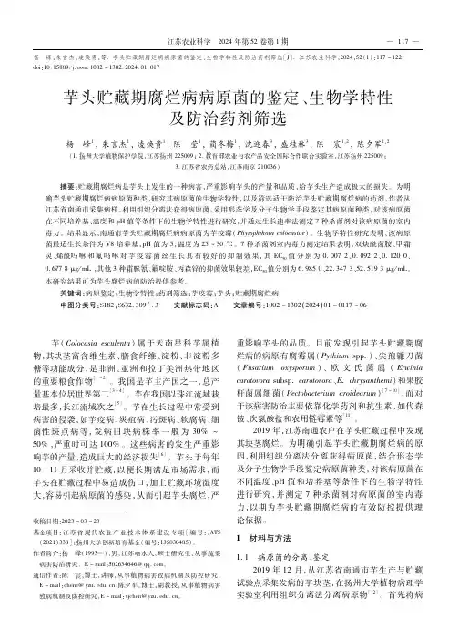 芋头贮藏期腐烂病病原菌的鉴定、生物学特性及防治药剂筛选