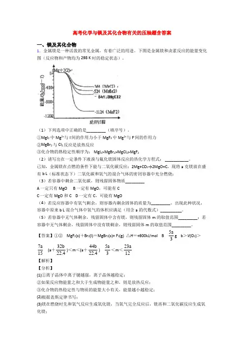 高考化学与镁及其化合物有关的压轴题含答案