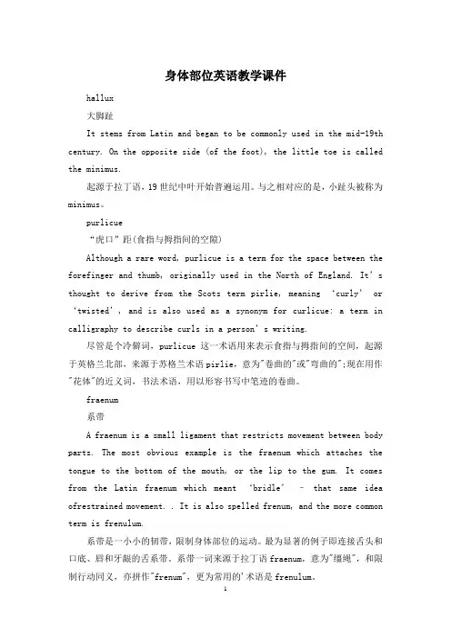 身体部位英语教学课件
