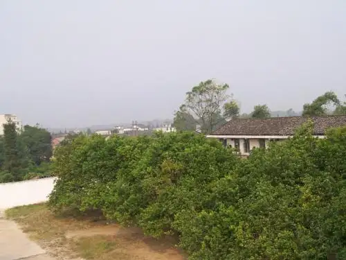 语文S(部编)版四年级上册《六单元  语文百花园六  笔下生辉》公开课课件_14