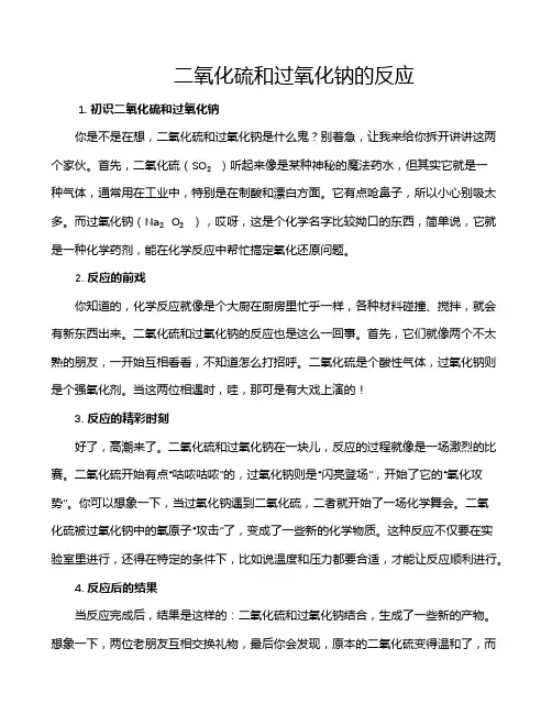 二氧化硫和过氧化钠的反应