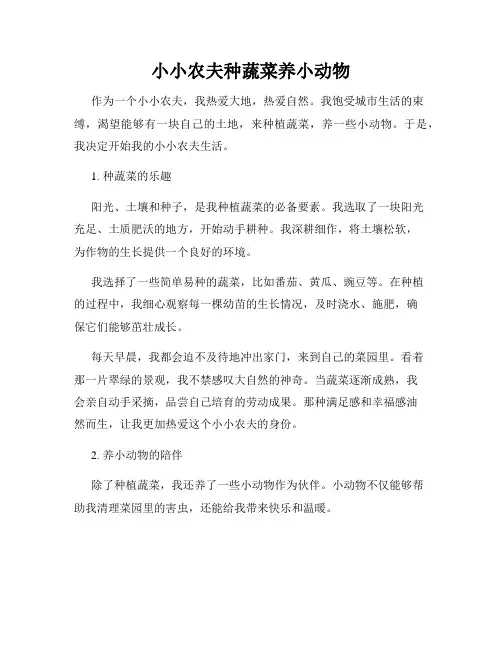 小小农夫种蔬菜养小动物