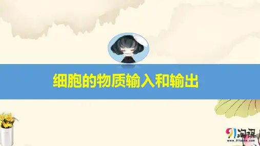 高考生物一轮复习11：细胞的物质输入和输出优质课件