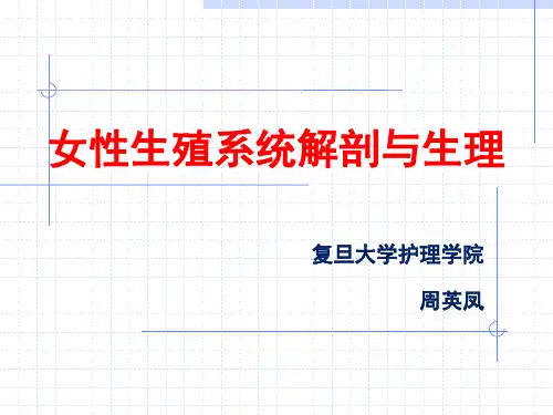 女性生殖系统解剖与生理