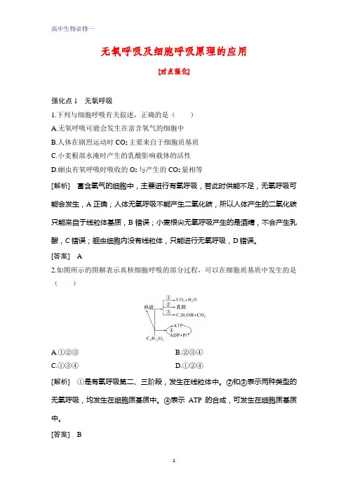 高中生物必修1课时作业17：5.3.2 无氧呼吸及细胞呼吸原理的应用