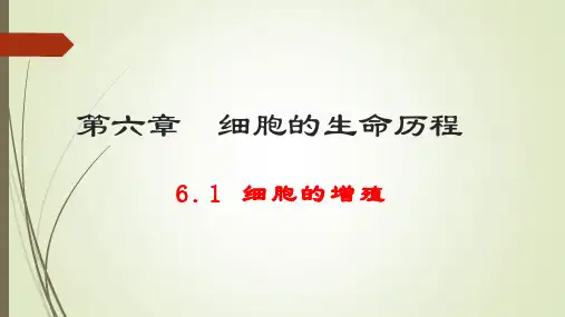 细胞的增殖(40张PPT)