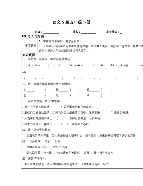 语文S版语文五下《老人与海鸥》word教案