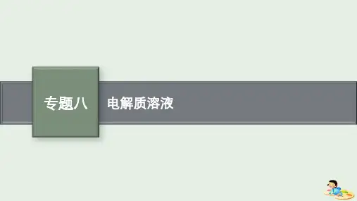 2023版高考化学二轮复习专题八电解质溶液课件