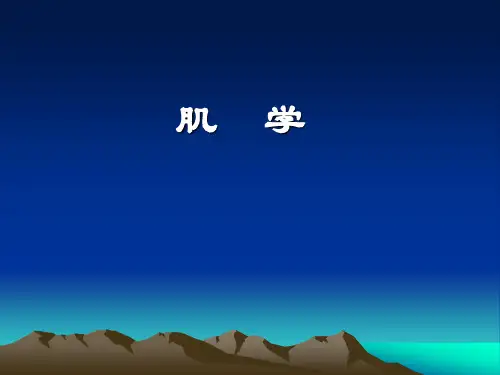 人体解剖学：肌学