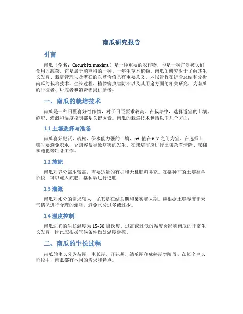 南瓜研究报告