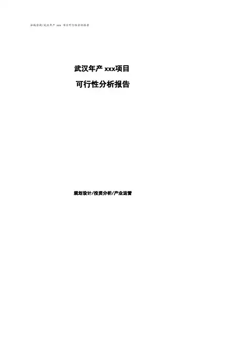武汉可行性研究报告(代项目建议书).pdf