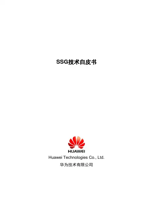 SSG技术白皮书