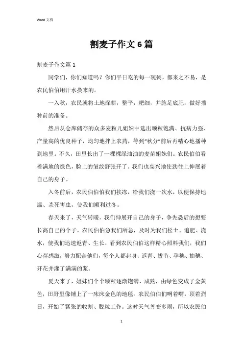 割麦子作文6篇